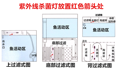 QQ图片20180913113222.png